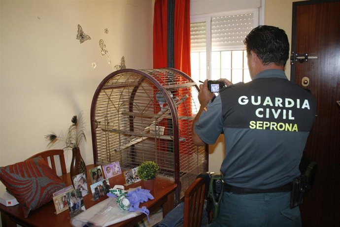 Imágenes de la operación Ulyma