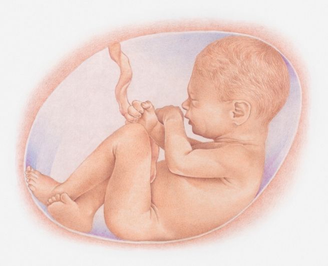 Desarrollo del bebé en la semana 39 de embarazo