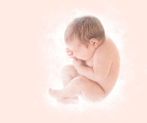 Desarrollo del bebé en la semana 40 de embarazo