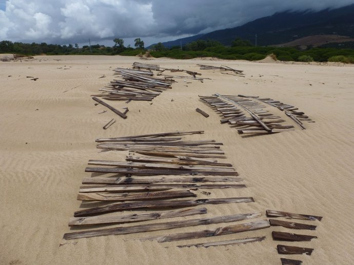 Ecologistas alertan del estado de la duna de Valdevaqueros