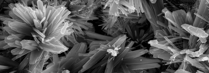 Ejemplo de injerto óseo de Subtilis