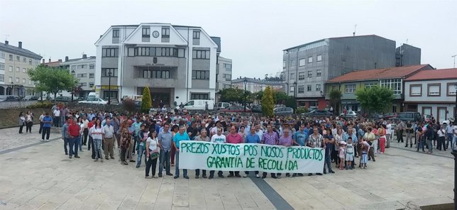 Concentración ganadera en Curtis (A Coruña)
