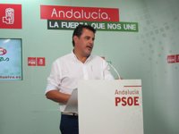 El PSOE ve "coherente" la dimisión del alcalde de La Nava tras ser juzgado
