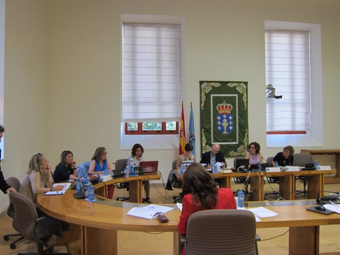 Comisión de igualdad del Parlamento gallego
