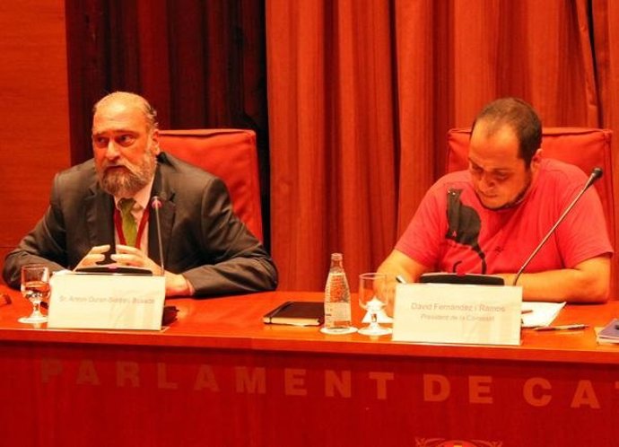 El asesor fiscal Antoni Duran-Sindreu y el diputado de la CUP David Fernández 