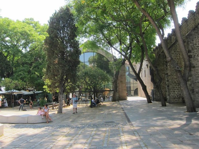 El Barcelona Surf Film Festival en el Museu Marítim 