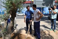 'Quijotes 2015' da empleo y formación a 10 usuarios de AFAEPS