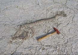 Imagen de la desecación del Lago Chad