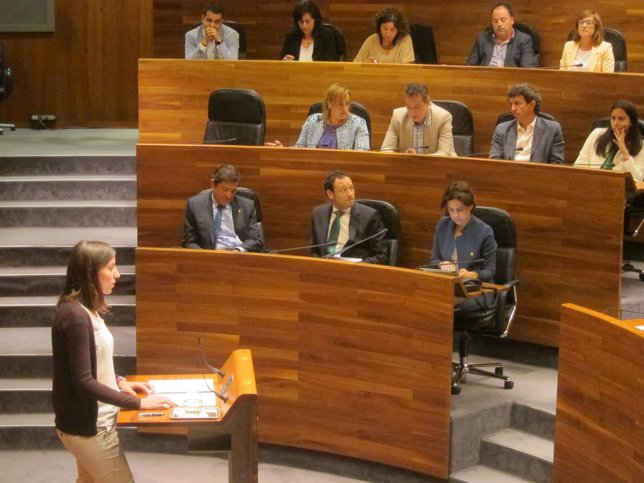 La diputada de Podemos en la Junta General, Lucía Montejo