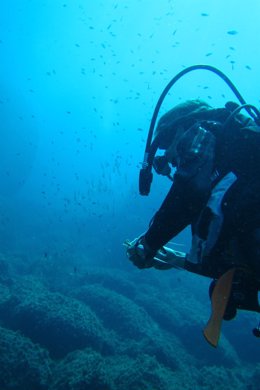 Buceador submarinista submarinismo especies UICN agua mar mediterráneo