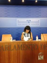 Rodríguez (Podemos) insiste en la necesidad de dar más pasos en transparencia ante un portal "con cristales tintados"