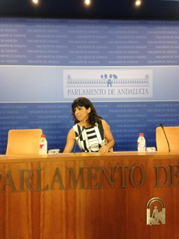 Rodríguez en rueda de prensa