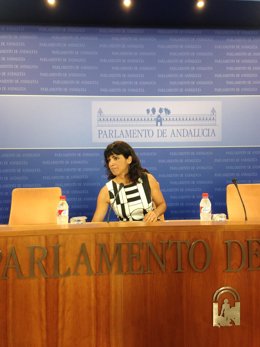 Rodríguez en rueda de prensa