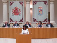 PSOE ofrece pacto "abierto a todos" en Parlamento para lograr "regeneración democrática"