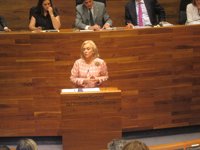 Mercedes Fernández ve "altísimas coincidencias" con Foro y rechaza las formas "viejo veterano" de Llamazares