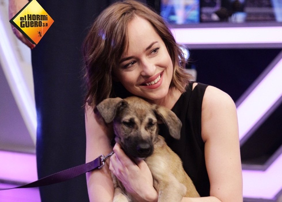 Dakota Johnson en el Hormiguero 3.0