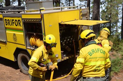 El Cabildo De Tenerife Da Por Controlado El Incendio De Orticosa