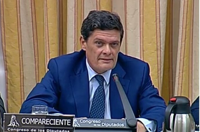 Presidente de la Sareb, Jaime Echegoyen