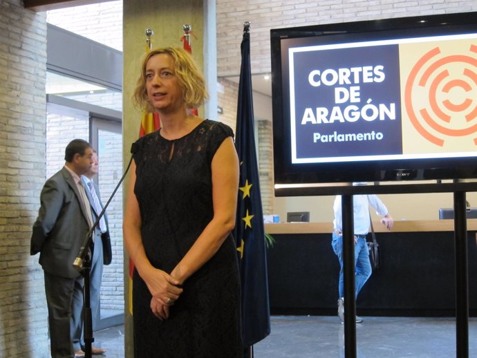 La diputada de IU en las Cortes de Aragón, Patricia Luquin