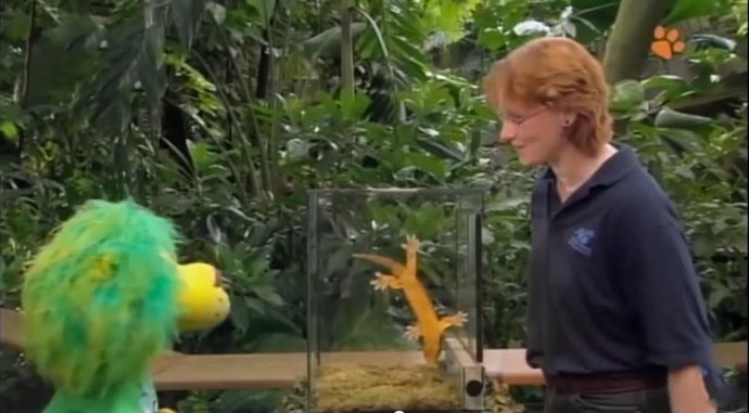 Visita del programa alemán 'OLI's Wilde Welt a La Gomera