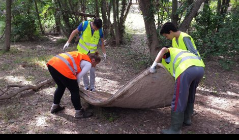 Cooperación y Desarrollo