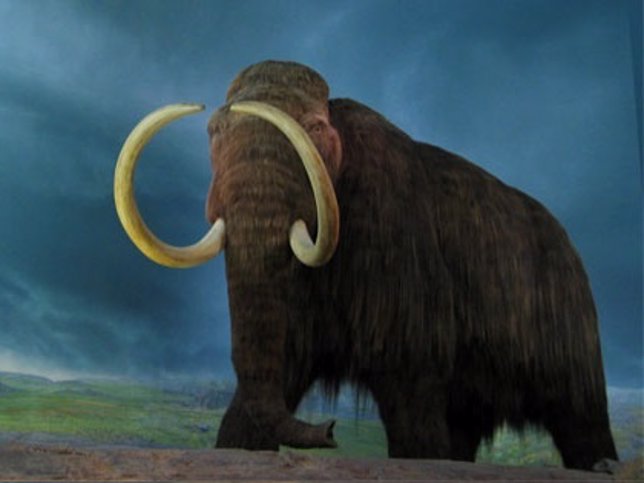 Mamut lanudo