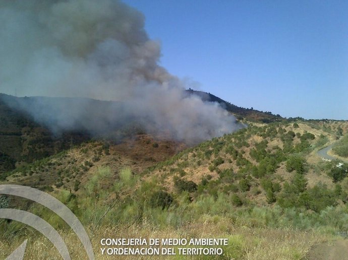 Casabermeja incendio infoca torre sandra