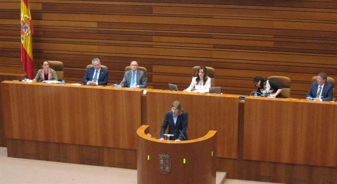 El portavoz de Podemos en las Cortes de Castilla y León, Pablo Fernández