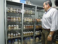 El Cabildo de La Palma encarga un atlas digital de semillas de Canarias