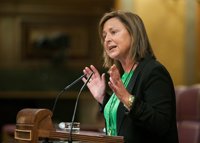 Madrazo (PP) defiende que el PP está cumpliendo el objetivo de "más crecimiento, más empleo y menos impuestos"