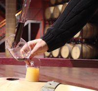 Alta participación y el nivel de las muestras en los Premios Zarcillo