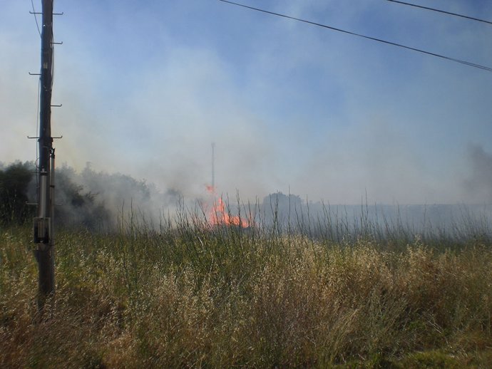 Incendio en Conil (Cádiz)