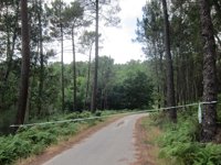 Los fallecidos en Arbo son enterrados este domingo