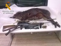 Sucesos.-Imputado un hombre en Cerro Muriano por supuesto delito contra la fauna al abatir a una cría de jabalí