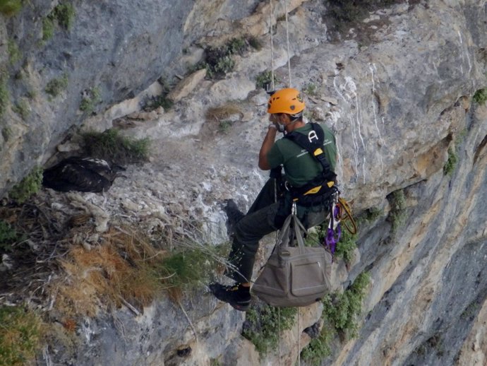 Llegada al nido del quebrantahuesos    