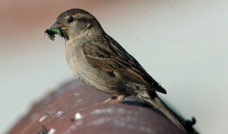 Cooperación y Desarrollo