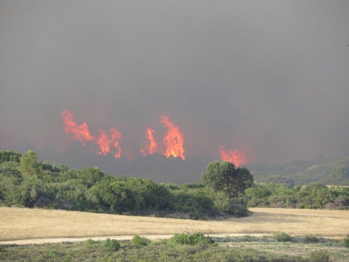 Incendio de las Cinco Villas desde Farasdués.