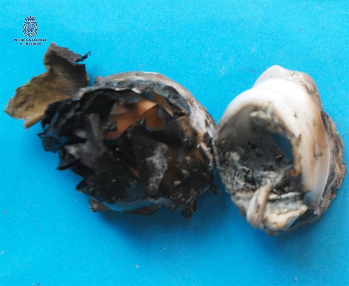 Aceleradores utilizados en el incendio y que ahora se analizan