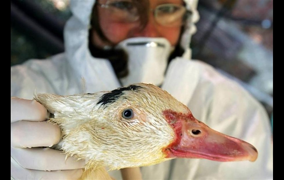 Foto: ANTONIO PARRINELLO / REUTERS