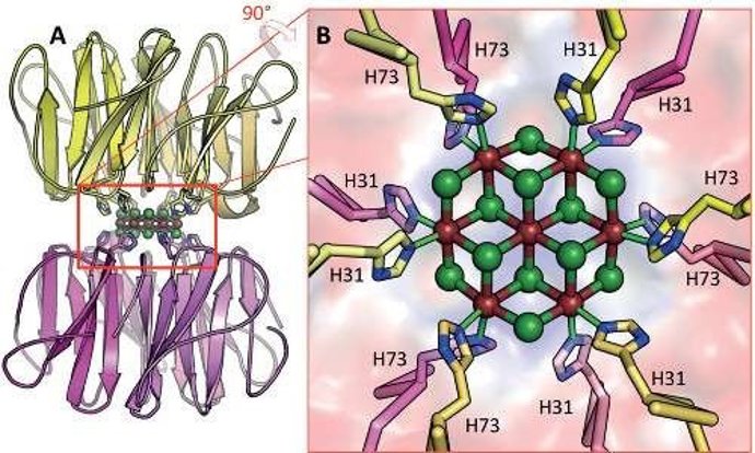 Estructura del nanocristal