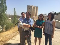 Liberan una cigüeña blanca y cinco cernícalos en los Sotos de la Albolafia
