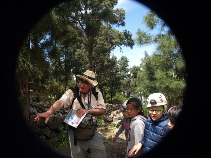 Talleres de verano niños