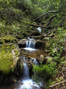 Barranco de 'Los fugitivos' en El Pozuelo, Huelva. 