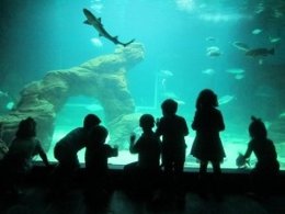 Actividad infantil nocturna en el Museo