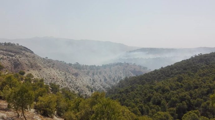 Zona del incendio en Quesada, Parque Natural de Cazorla