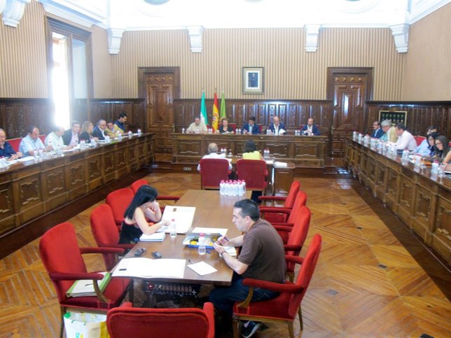 Primer pleno extraordinario de la Diputación