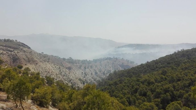 Zona del incendio de Quesada
