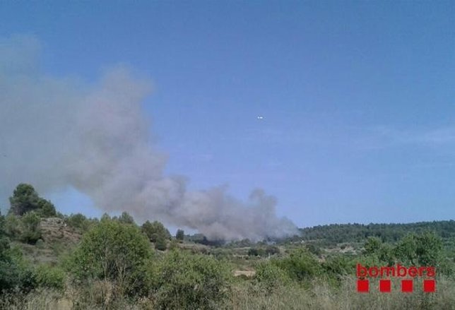 Incendio forestal de Artés (Barcelona)