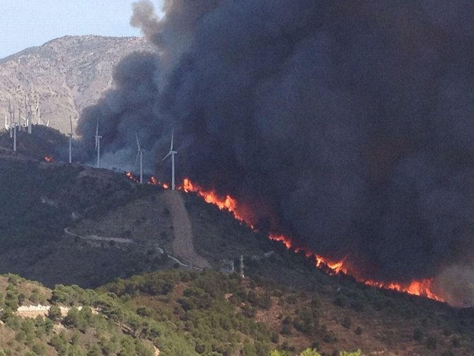 Incendio declarado en la Sierra de Lújar