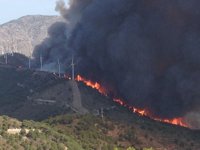 Incendios.- El alcalde de Lújar contempla "con rabia contenida" cómo se "quema el pulmón del pueblo"